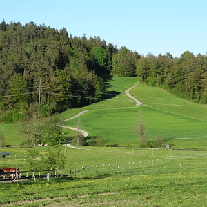 kfb Maiandacht 2024