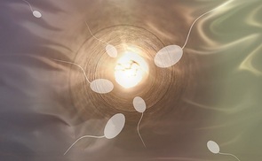 Bioethik nun online