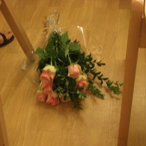 Akkordeonkonzert 