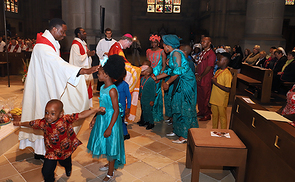 Priesterweihe im Linzer Mariendom
