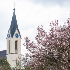 Palmprozession und Heilige Messe