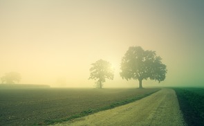 Lebenszeit - Wartezeit - Zwischenzeit