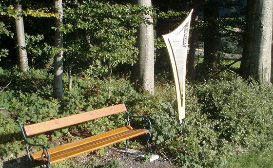 Der 'Trotzdem'-Weg