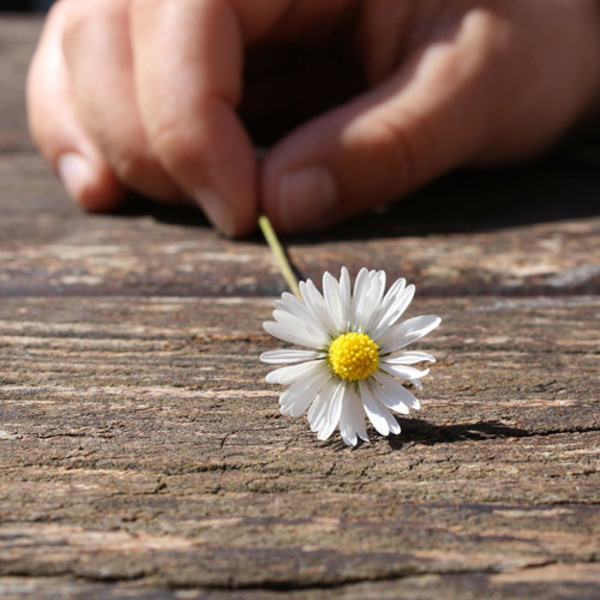 Wer gibt dem wird gegeben / © RebeccasPictures/pixabay.com Wer gibt dem wird gegeben